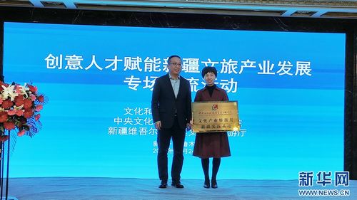 千帆競發(fā) 創(chuàng)意人才賦能新疆文旅產業(yè)發(fā)展專場交流活動在烏魯木齊舉辦